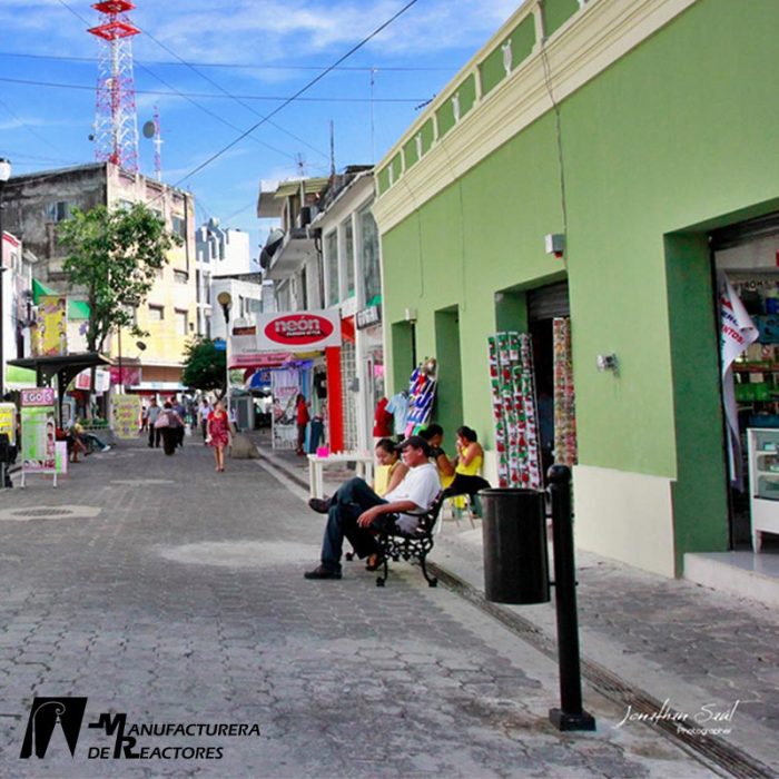 Cesto Coyoacán en Tabasco